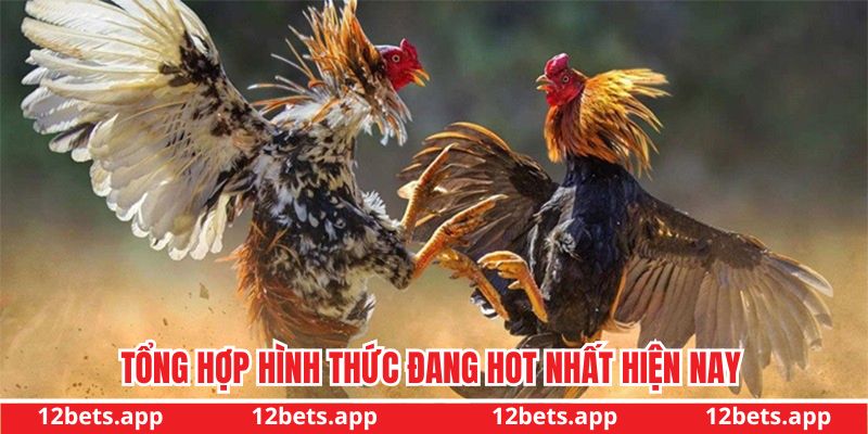Tổng hợp hình thức hot nhất